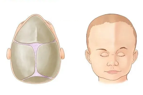 二次元人物怀孕