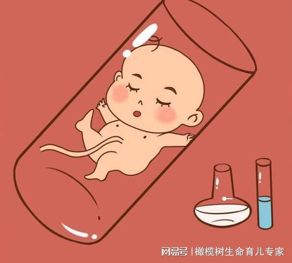 二道杠怀孕图片