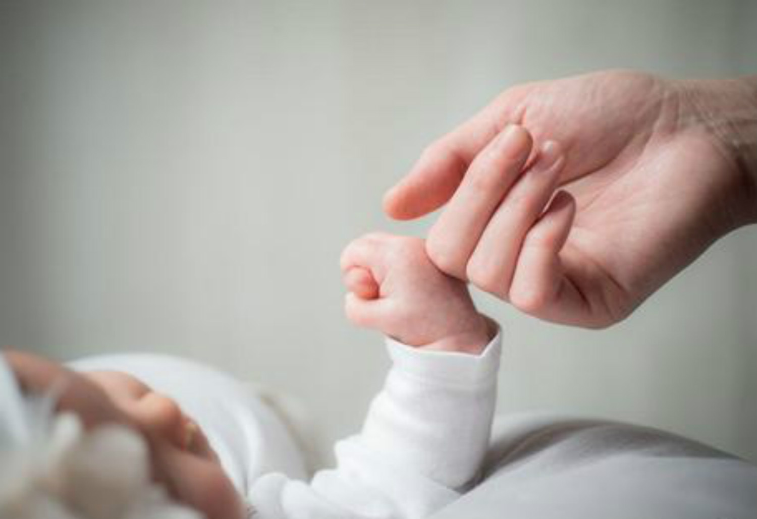 二道杠怀孕图片