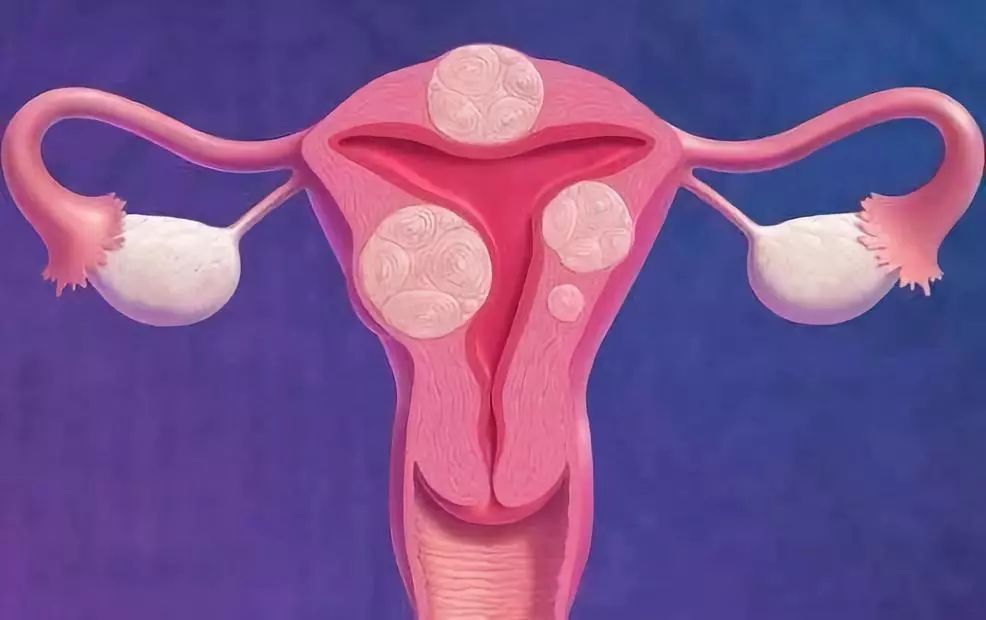 五个月宝宝体温37.6正常吗