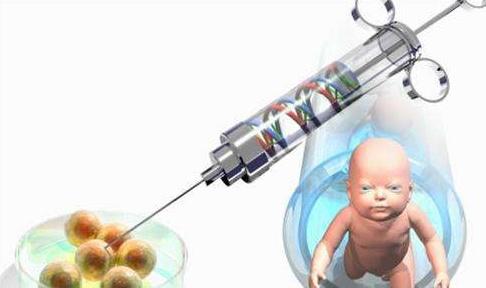 二道杠怀孕图片