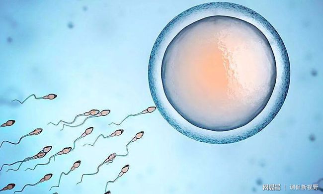 二道杠怀孕测试