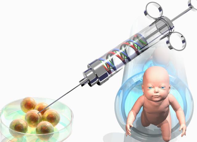 二道杠怀孕图片大全