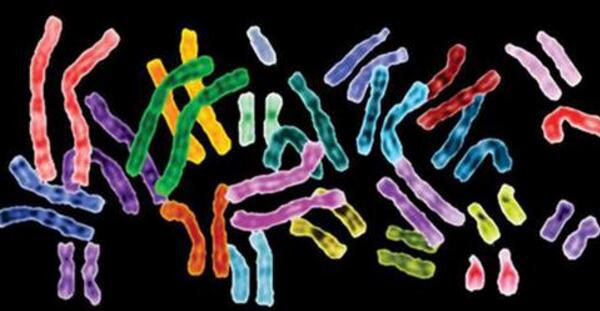 事业单位人员小产假期