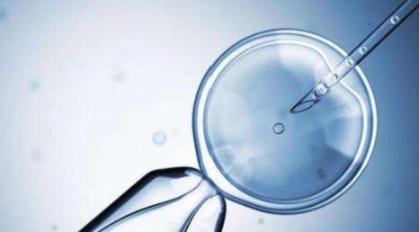 事业单位小产假期