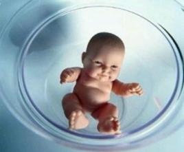 事业单位职工产假