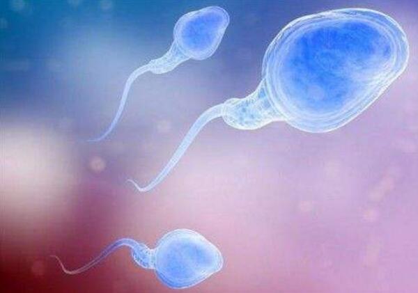 怀二胎后胎位不正