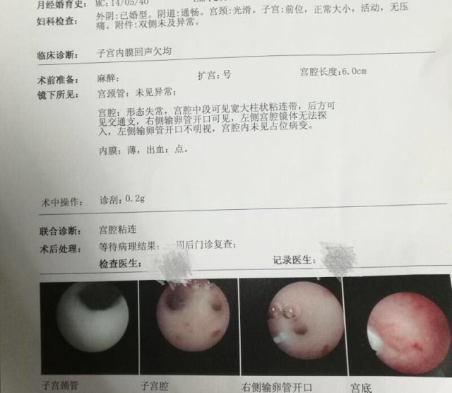 为什么自己带的孩子跟奶奶亲