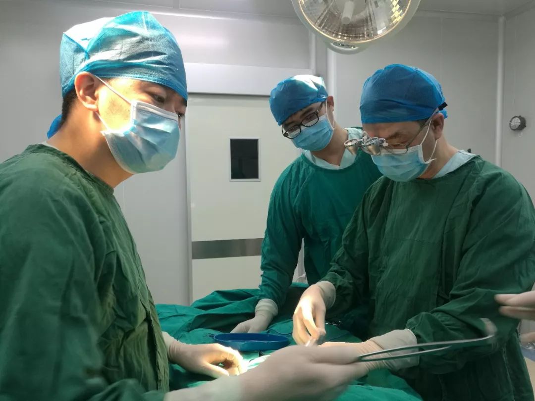 五个月胎儿生殖发育