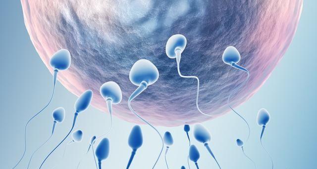 高薪招聘有偿捐卵