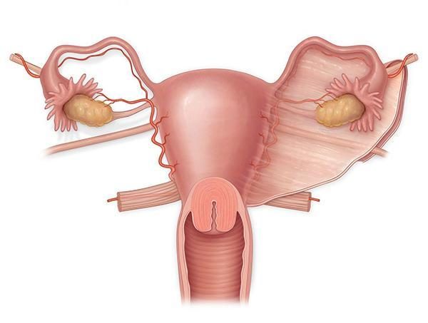 安顺捐卵志愿者补充